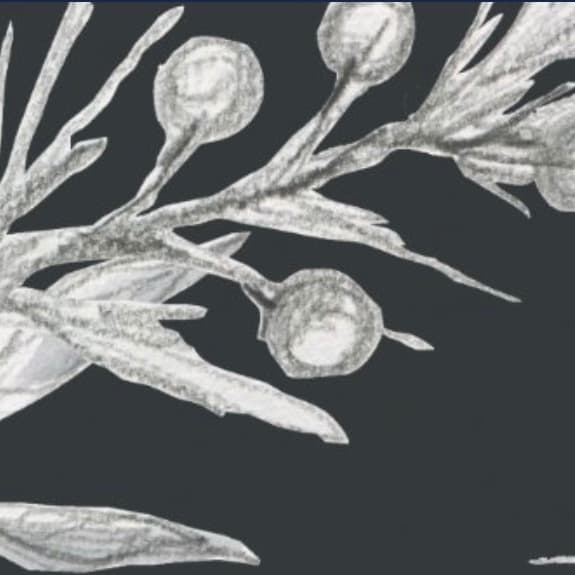 Brazilian Wax at Skin Nirvana in Greeneville, TN